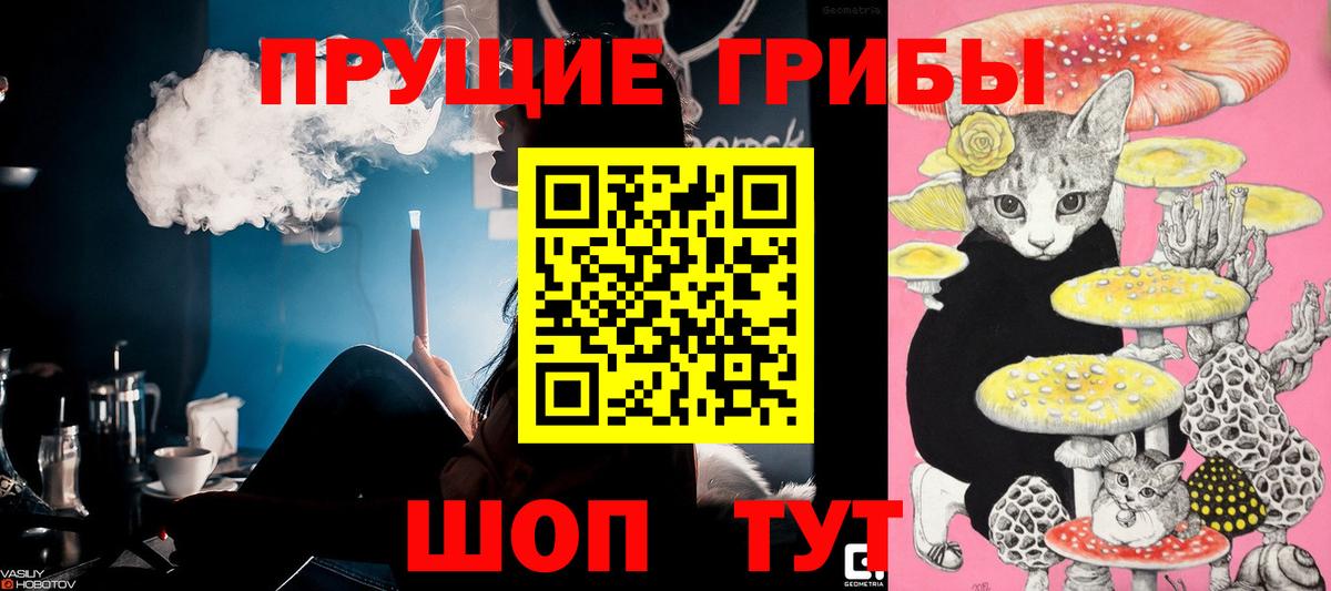 Псилоцибиновые грибы прущие грибы Дербент